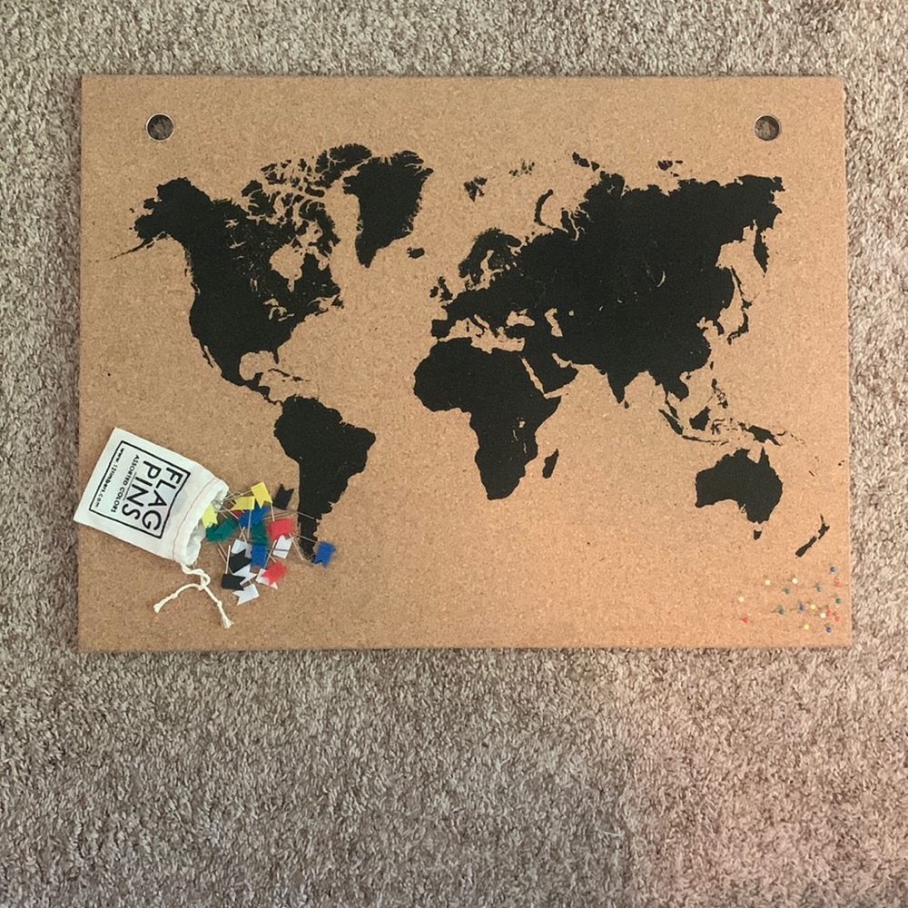 Map of the world w/flag pins